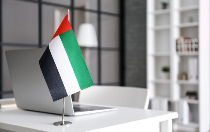 UAE Free Zone Business Activities